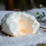 Koiran kuolema runo: kauniit muistovärssyt lemmikille